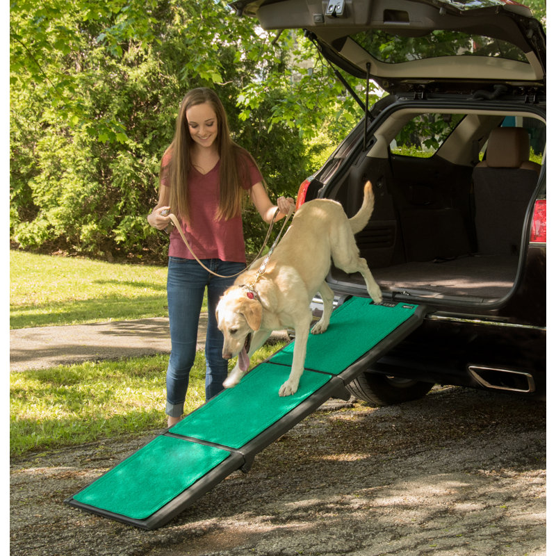 Pet Gear Multifold Supertrax 71" Pet Ramp & Reviews Wayfair